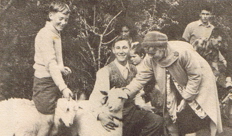 Teahouse Of The August Moon Goat Competition 1960